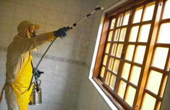 L&s Dedetizacao e Construcao Civil - Foto 1