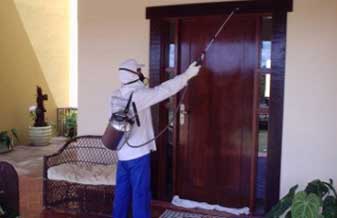 Dedetizadora Cometa - Foto 1