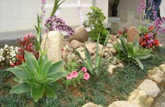 Mp Jardinagem - Foto 1