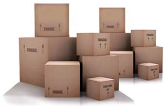 Mudanças Miria - Foto 1