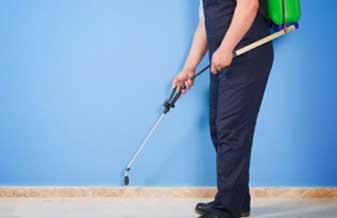 Dedetização Novae - Foto 1