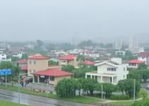 Francisco Morato chuva