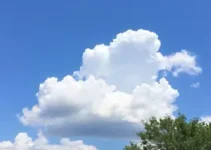 Previsão do Tempo Francisco Morato