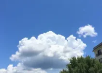 Francisco Morato clima