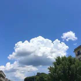 Francisco Morato clima