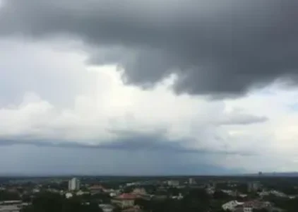 Últimas noticias de Francisco Morato