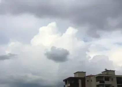 Últimas noticias de Francisco Morato