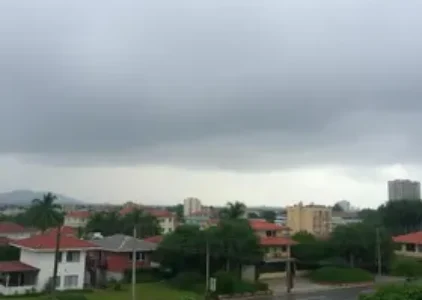 Últimas noticias de Francisco Morato