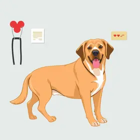 atendimento veterinário gratuito