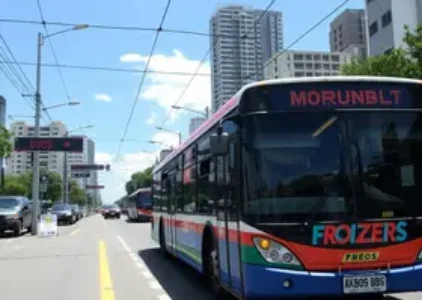 Últimas noticias de Francisco Morato