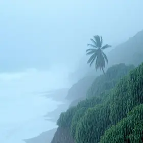 alerta laranja