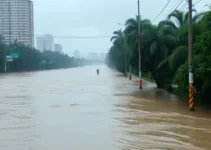 transbordamento dos rios em SP