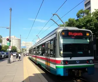 Brás para Francisco Morato de transporte público