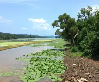 poluição orgânica no Rio Tietê